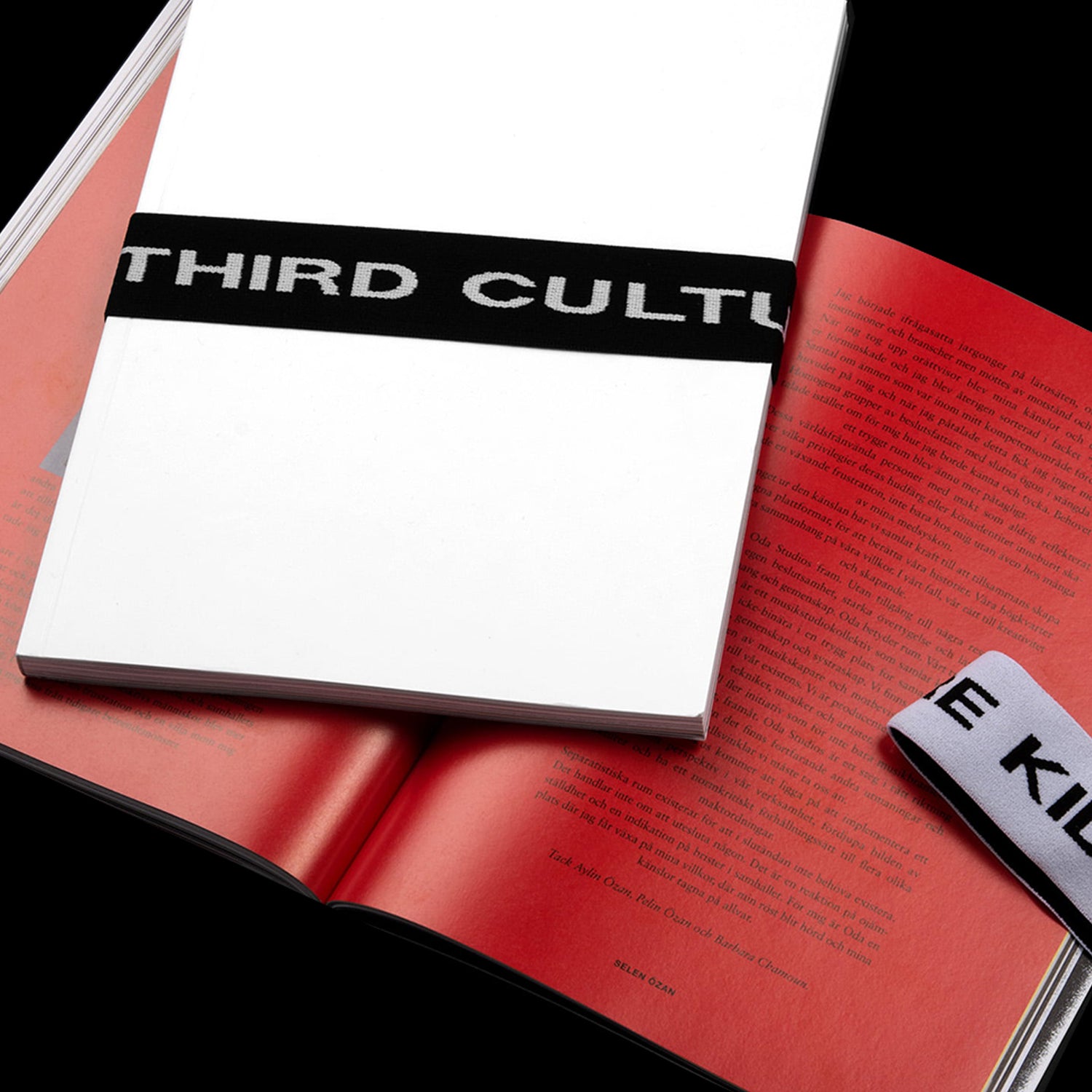 THIRD CULTURE KIDS BOOK
